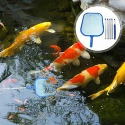 FUIENKO Praktisches Neuartiges Wiederverwendbares Angelschaufelnetz Für Schwimmbecken Schwimmbecken Komplett 1PC -Poolreinigung Verkäufe 2022 56817893 4