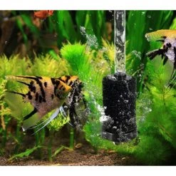 DONTODENT 10 Stück Rechange Für Polaris-Queue-Epurateur Für Tuyau-Queue Von Nettoyeur De Piscine Vac-Sweep -Poolreinigung Verkäufe 2022 58654954 5