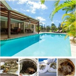 HIASDFLS Pool-Skimmer-Socken (30 Stück), Pool-Skimmer-Socken, Elastische Nylongewebefilter, Pool-Skimmer-Socken Können Pollen, Blätter Und Haare Einfangen -Poolreinigung Verkäufe 2022 59708744 3