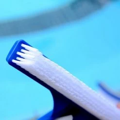 MIYA Cepillo De Piscina Duradero De 1 Pieza Para Limpiar El Cepillo De Limpieza De Piscinas 8 MIYA Cepillo De Piscina Duradero De 1 Pieza Para Limpiar El Cepillo De Limpieza De Piscinas -Poolreinigung Verkäufe 2022 60770818 4